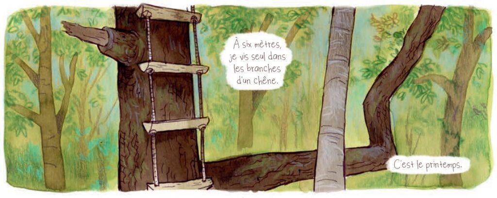 extrait bd Par la force des arbres